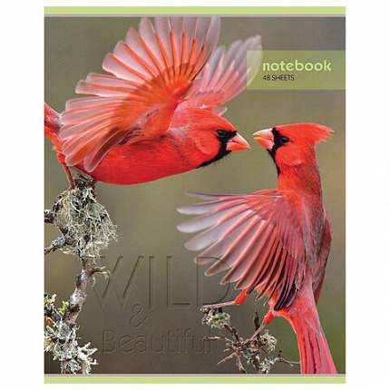 Тетрадь А5, 48 л., HATBER-ECO скоба, офсет №2 ЭКОНОМ, клетка, обложка мелованная бумага, "Дикий мир", 075790, 48Т5D1