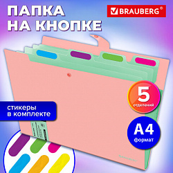 Папка-органайзер на кнопке 5 отделений, BRAUBERG "Extra", А4, персиковая с мятным, 274097