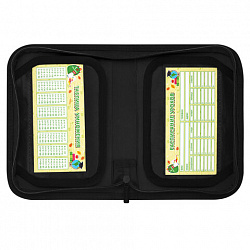 Пенал BRAUBERG KIDS, 1 отделение, 2 откидные планки, 21х14 см, "Neon sword", 274546