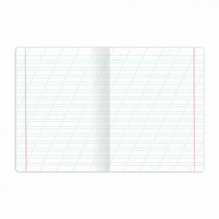 Тетрадь пластиковая обложка (НЕОН) 12 листов, косая линия, BRAUBERG "Smart Cover", АССОРТИ (микс в спайке), 405027