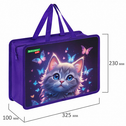 Папка на молнии с ручками BRAUBERG KIDS А4, 1 отделение, пластик, 100 мм, "Любознательный кот", 273376