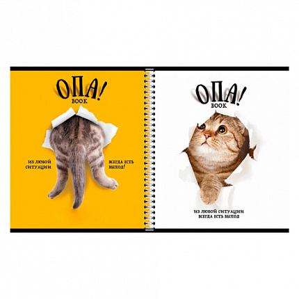 Тетрадь А5 96 л. ПЗБМ, гребень, клетка/линия, выборочный лак, перевёртыш, "Опа!" (5 видов), 028558