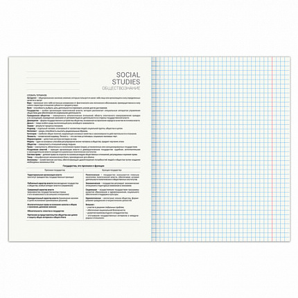 Тетрадь предметная SPORT CLUB 48л, обложка картон, ОБЩЕСТВОЗНАНИЕ, клетка, подсказ, BRAUBERG, 404795