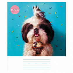 Тетрадь 24 л., HATBER клетка, обложка картон, "Узнай себя!" (Lucia Heffernan) (микс в спайке), 086740, 24Т5В1