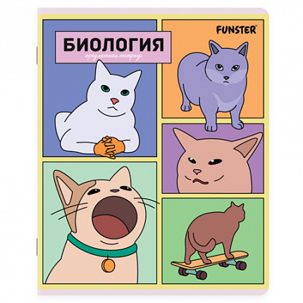 Тетради предметные, КОМПЛЕКТ 12 ПРЕДМЕТОВ, 48 л., TWIN-лак, FUNSTER (ФАНСТЕР), МЕМНЫЕ КОТЫ, 405604