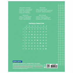 Тетрадь 18 л. BRAUBERG ЭКО "5-КА", клетка, обложка картон 170 г/м2, ЗЕЛЕНАЯ, 402987