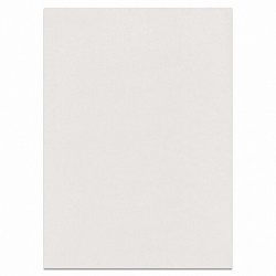 Картон белый БОЛЬШОГО ФОРМАТА, А2 МЕЛОВАННЫЙ (глянцевый), 10 листов, в папке, BRAUBERG, 400х590 мм, 124764