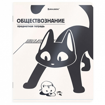 Тетради предметные, КОМПЛЕКТ 12 ПРЕДМЕТОВ 48л, пластиковая обложка, BRAUBERG "КОТ-НЕПОСЕДА", 405542