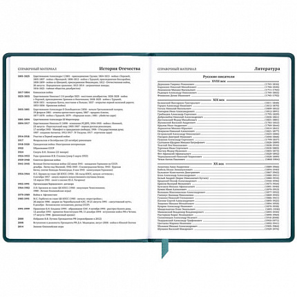 Дневник 1-11 класс 48 л., кожзам (твердая), печать, резинка, конверт, BRAUBERG, "Bright Lion", 106577