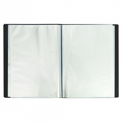 Папка 100 вкладышей BRAUBERG "Office", черная, 0,8 мм, 222641