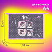 Папка для тетрадей ЮНЛАНДИЯ А4, 1 отделение, пластик, на молнии, "Anime dreamer", 273349