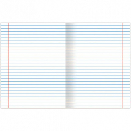 Тетради предметные, КОМПЛЕКТ 12 ПРЕДМЕТОВ, 48 листов, обложка картон, BRAUBERG, "ПАСТЕЛЬНАЯ", 404026