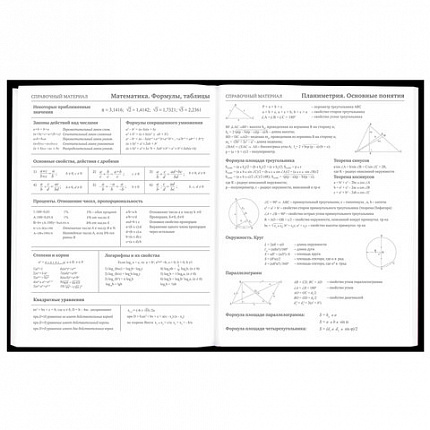 Дневник 5-11 класс 48 л., твердый, BRAUBERG, матовая ламинация, с подсказом, "Гитара", 107185