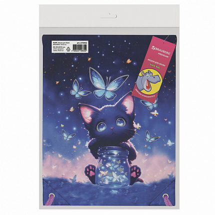 Мешок для обуви BRAUBERG PREMIUM, карман, подкладка, светоотражайка, 43х33 см, "Night catcher", 273442