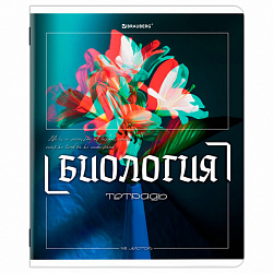 Тетради предметные, КОМПЛЕКТ 12 ПРЕДМЕТОВ, 48 л., глянцевый УФ-лак, BRAUBERG "GLITCH", 405170