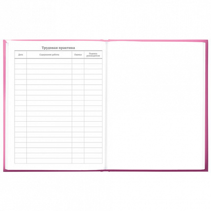 Дневник 5-11 класс 48 л., твердый, BRAUBERG, выборочный лак, с подсказом, "Brings Joy", 107194