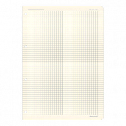 Сменный блок для тетради на кольцах БОЛЬШОЙ ФОРМАТ А4 120 л., BRAUBERG, ПОВЫШЕННОЙ ПЛОТНОСТИ, кремовый, 404517