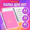 Папка-тетрадь для нот А4, 20 вкладышей на 40 страниц, на гребне, пластик, РОЗОВАЯ, BRAUBERG, 404642