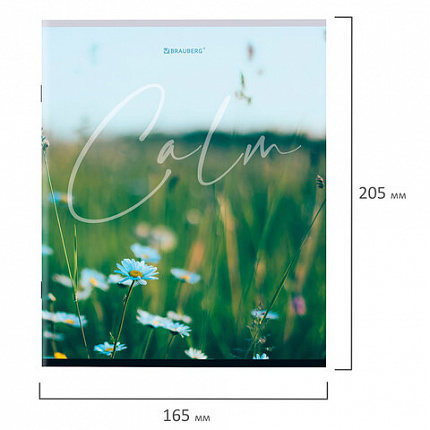 Тетрадь А5 96 л. BRAUBERG скоба, клетка, обложка картон, "Calm" (микс в спайке), 404435