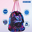 Мешок для обуви BRAUBERG PREMIUM, карман, подкладка, светоотражайка, 43х33 см, "Neon cat", 271621