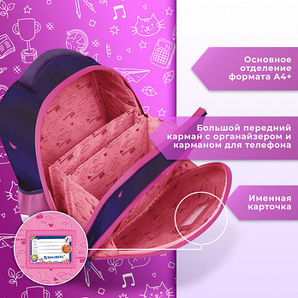 Ранец BRAUBERG KIDS STANDARD, 2 отделения, Curious cat, 36х28х14 см, 273145