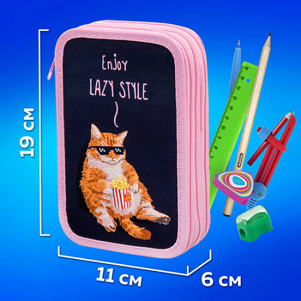 Пенал ПИФАГОР, 3 отделения, ламинированный картон, 19х11 см, "Lazy cat", 272252