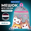 Мешок для обуви BRAUBERG, с петлей, светоотражающая полоса, 2 отделения, 46х36 см, "Hi there", 273449