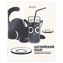 Тетради предметные, КОМПЛЕКТ 12 ПРЕДМЕТОВ 48 л., пластиковая обложка, BRAUBERG "КОТ-НЕПОСЕДА", 405542
