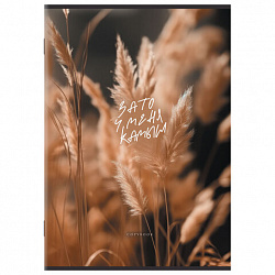 Тетрадь А4 80 л. STAFF "College" скоба, клетка, офсет №2 ЭКОНОМ, обложка картон, ЭСТЕТИКА, 405617