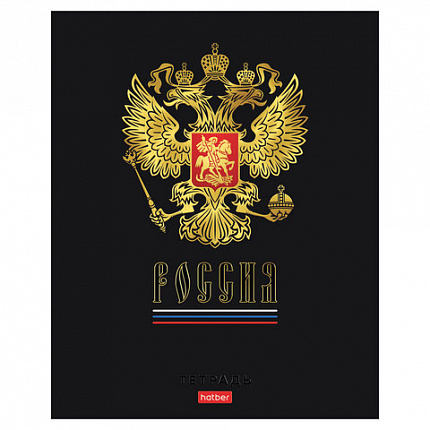 Тетрадь А5 48 л., HATBER, скоба, клетка, матовая ламинация, 3D-фольга, 3D-лак, Россия (микс), 093210, 48Т5лофлВ1