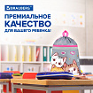 Мешок для обуви BRAUBERG, с петлей, светоотражающая полоса, 2 отделения, 46х36 см, "Hi there", 273449