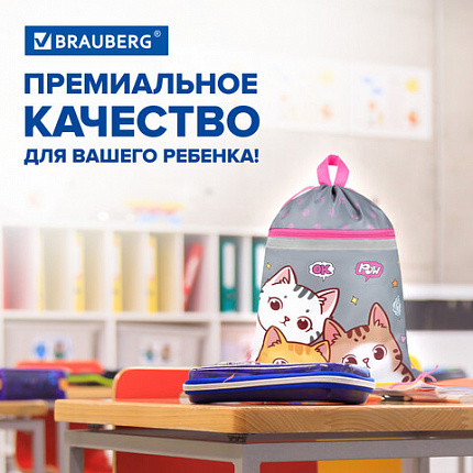 Мешок для обуви BRAUBERG, с петлей, светоотражающая полоса, 2 отделения, 46х36 см, "Hi there", 273449
