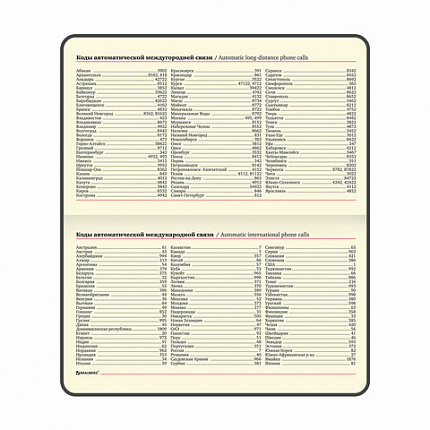 Еженедельник недатированный МАЛЫЙ ФОРМАТ 95х155 мм А6, BRAUBERG "Iguana", под кожу, 64 л., красный, 114481