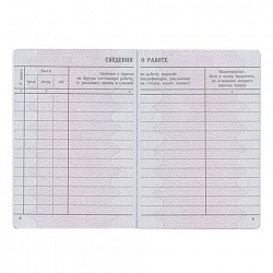 Бланк документа "Вкладыш в трудовую книжку", 88х125 мм, ГОЗНАК