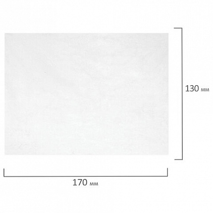 Салфетки АНТИБАКТЕРИАЛЬНЫЕ ДЛЯ МОНИТОРОВ И ПЛАСТИКА, ПЛОТНЫЕ, BRAUBERG, 100 шт., 513476