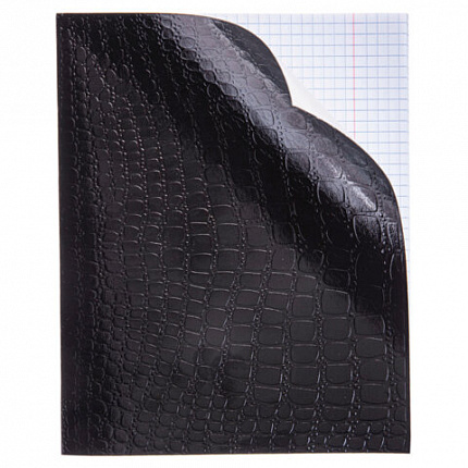 Тетрадь бумвинил А5 48 л., скоба, офсет №1, клетка, с полями, "ЧЕРНАЯ Metallic", CROCO, HATBER, 072232, 48Т5бвВ1