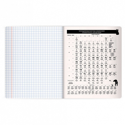 Тетрадь предметная КОТ-НЕПОСЕДА 48л, пластиковая обложка, ХИМИЯ, клетка, подсказ, BRAUBERG, 405538