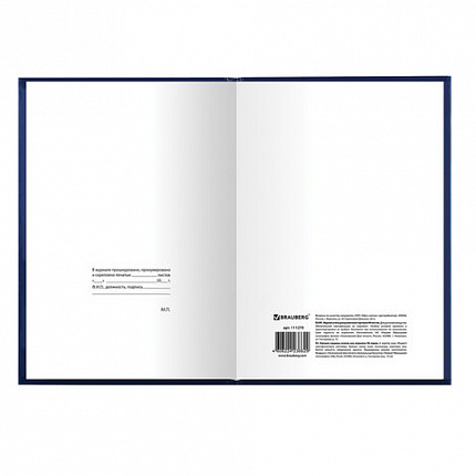 Журнал учета для розничной торговли, 96 л., бумвинил, блок офсет, А4 (200x290 мм), BRAUBERG, 111270