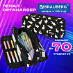 Пенал-органайзер BRAUBERG, 2 откидные планки, полиэстер, 23x9х7 см, "Безумные гуси", 274610