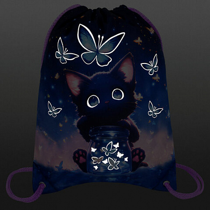 Мешок для обуви BRAUBERG PREMIUM, карман, подкладка, светоотражайка, 43х33 см, "Night catcher", 273442