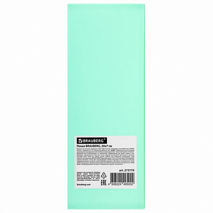Пенал пластиковый BRAUBERG, 1 отделение, на кнопке, 20x7 см, ассорти, "Pastel", 273770