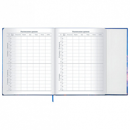 Дневник 1-11 класс 48 л., твердый, BRAUBERG, матовая ламинация, магнитный клапан, закладка-ляссе, с подсказом, "Magic", 107243