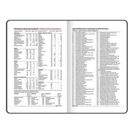 Ежедневник недатированный МАЛЫЙ ФОРМАТ А6 (100х150 мм) BRAUBERG "Select", балакрон, 160 л., черный, 123480