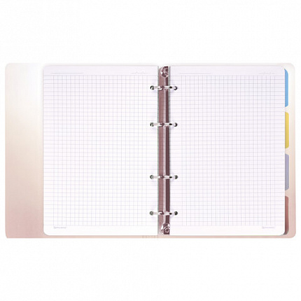 Тетрадь на кольцах А5 175х220мм, 120л, пластик, с разделителями, BRAUBERG, Красный, 404630