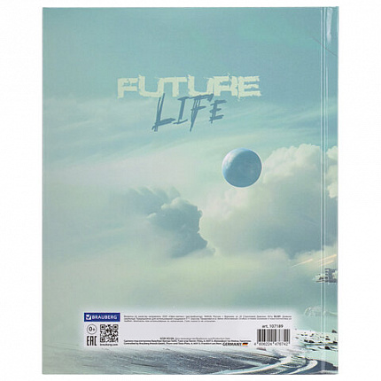 Дневник 5-11 класс 48 л., твердый, BRAUBERG, глянцевая ламинация, с подсказом, "Космический корабль", 107189