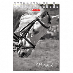 Блокнот А5, 146х205 мм, 60 л., гребень, картон, жесткая подложка, клетка, BRAUBERG, "Животные", 129810