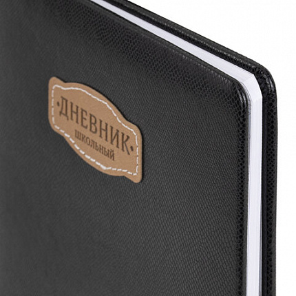Дневник 1-11 класс 48 л., кожзам (твердая с поролоном), нашивка, BRAUBERG IGUANA, черный, 107225