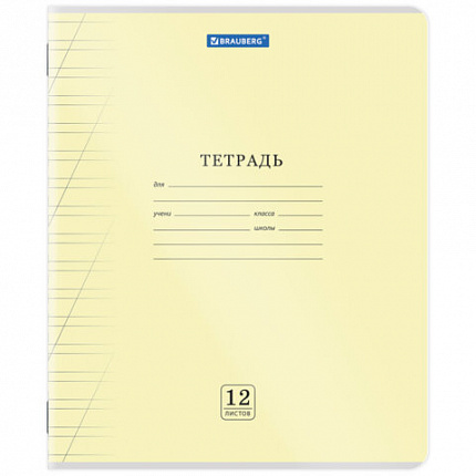 Тетрадь пластиковая обложка (прозрачная) 12 листов, косая линия, BRAUBERG "Smart Cover", АССОРТИ (микс в спайке), 405024