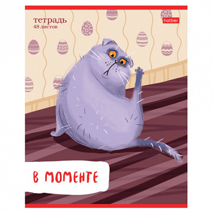 Тетрадь А5 48 л., HATBER скоба, линия, обложка картон, "Кот-обормот" (микс в спайке), 080206, 48Т5В2