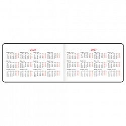 Еженедельник датированный 2026 МАЛЫЙ ФОРМАТ 105х160 мм, А6, BRAUBERG "Blaze", фольга, серый, 117218